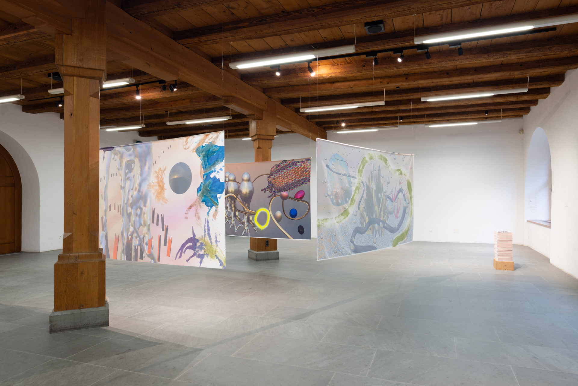 Regional23_ArtWillisau_1