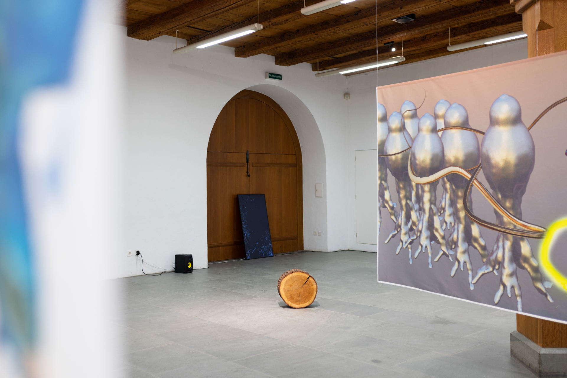 Regional23_ArtWillisau_15