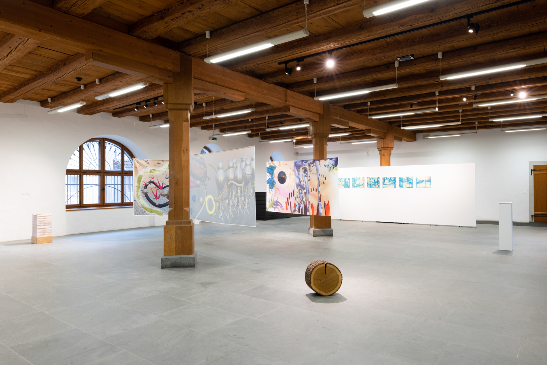 Regional23_ArtWillisau_6